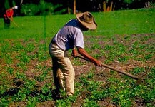 El PRI siempre estará a favor de los campesinos de México