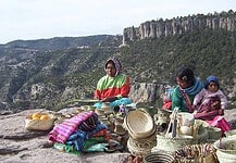 Deben partidos incluir a indígenas en postulaciones