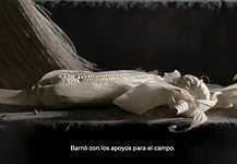 MORENA SE LLEVA PERO NO SE AGUANTA: PRI